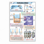 Purification of Water